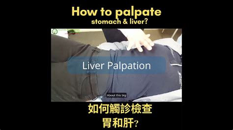 scratch test liver video|how to palpate your liver.